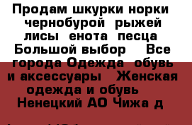 Продам шкурки норки, чернобурой, рыжей лисы, енота, песца. Большой выбор. - Все города Одежда, обувь и аксессуары » Женская одежда и обувь   . Ненецкий АО,Чижа д.